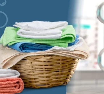 Game-Changing Laundry Room Essentials for 2025